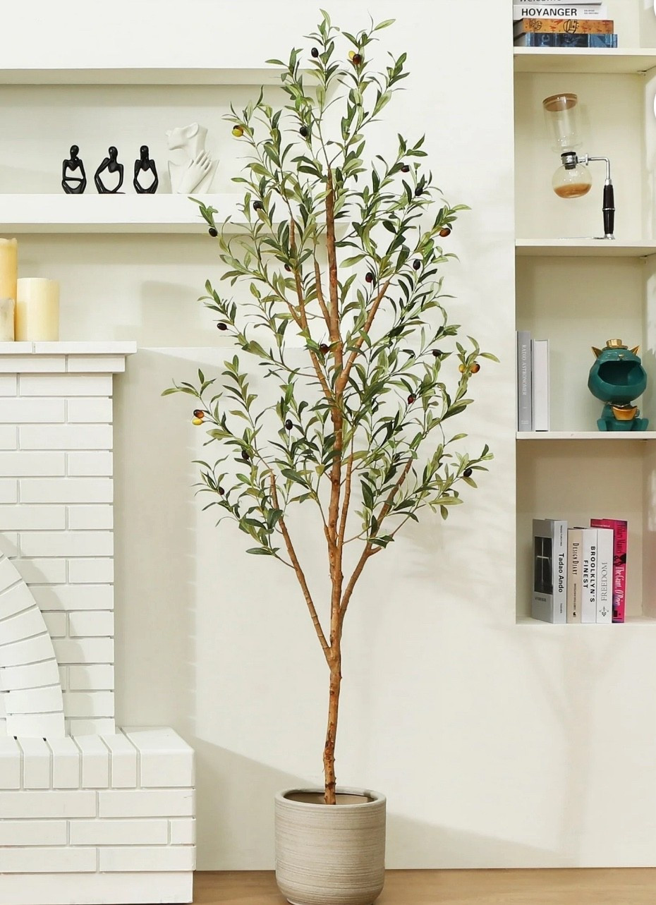 6’ faux olive tree for $38.99!

#LTKFindsUnder50 #LTKHome