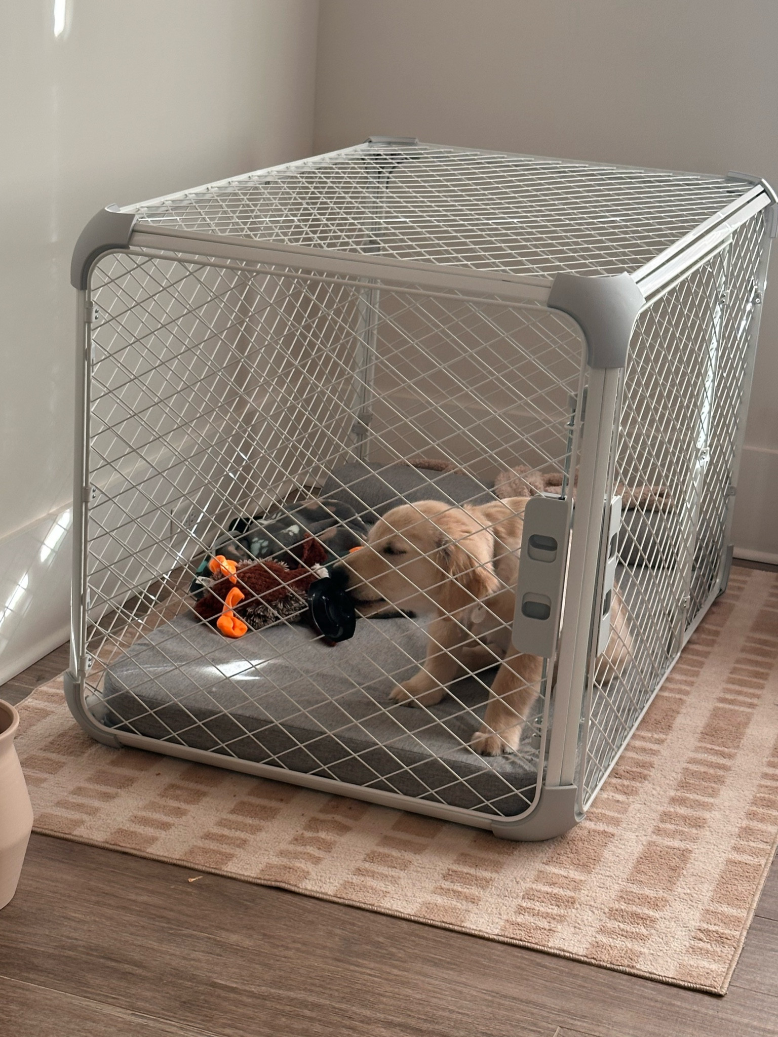 Our must have for crate and sleep training 
