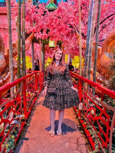 See you again in 2 weeks, Vegas! 🫶🏈❤️💛 I loved visiting @bellagio gardens on our recent trip. I highly recommend brunch @sadelles, but it was too busy this time. You either need a reservation or to wait in a line  

This @ivycityco dress is one of my absolute favorites. Use code abyersguide15 for a discount on your first purchase. 

#LTKstyletip #LTKtravel #LTKMostLoved