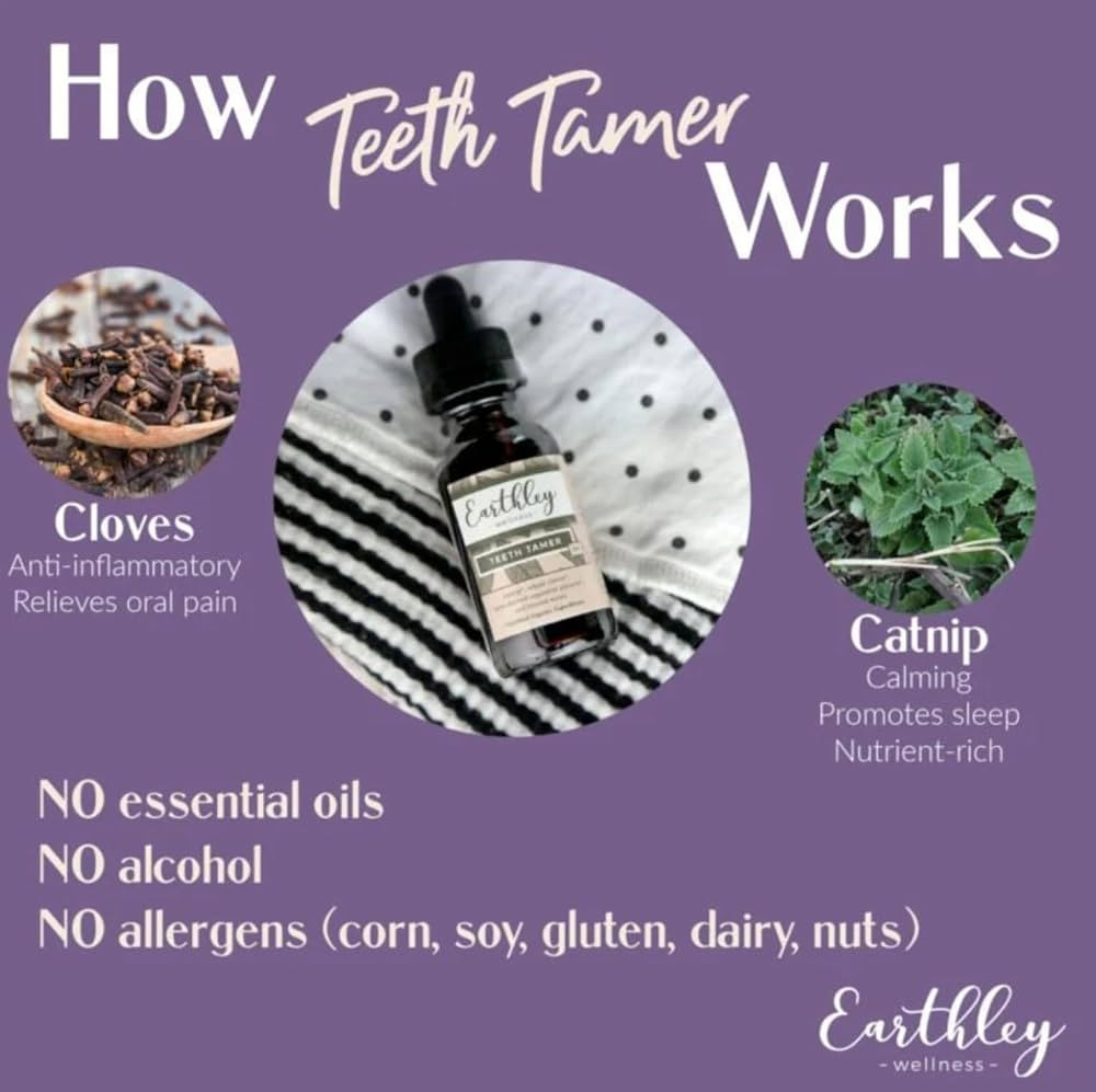 Earthley Wellness Teeth Tamer, Teething Relief for Babies & Kids, Soothes Drooling, Gum Discomfor... | Amazon (US)