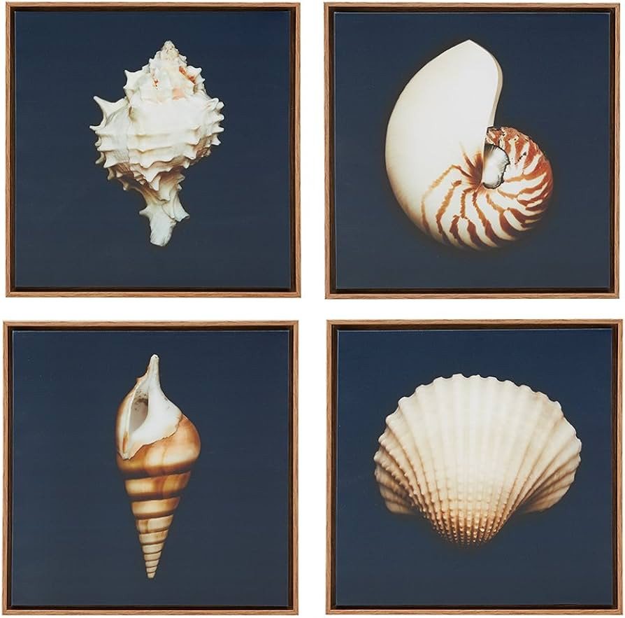 Madison Park, Ocean Seashells 4 Piece Set Wall Art Framed Canvas, Modern Coastal Design, Global I... | Amazon (US)