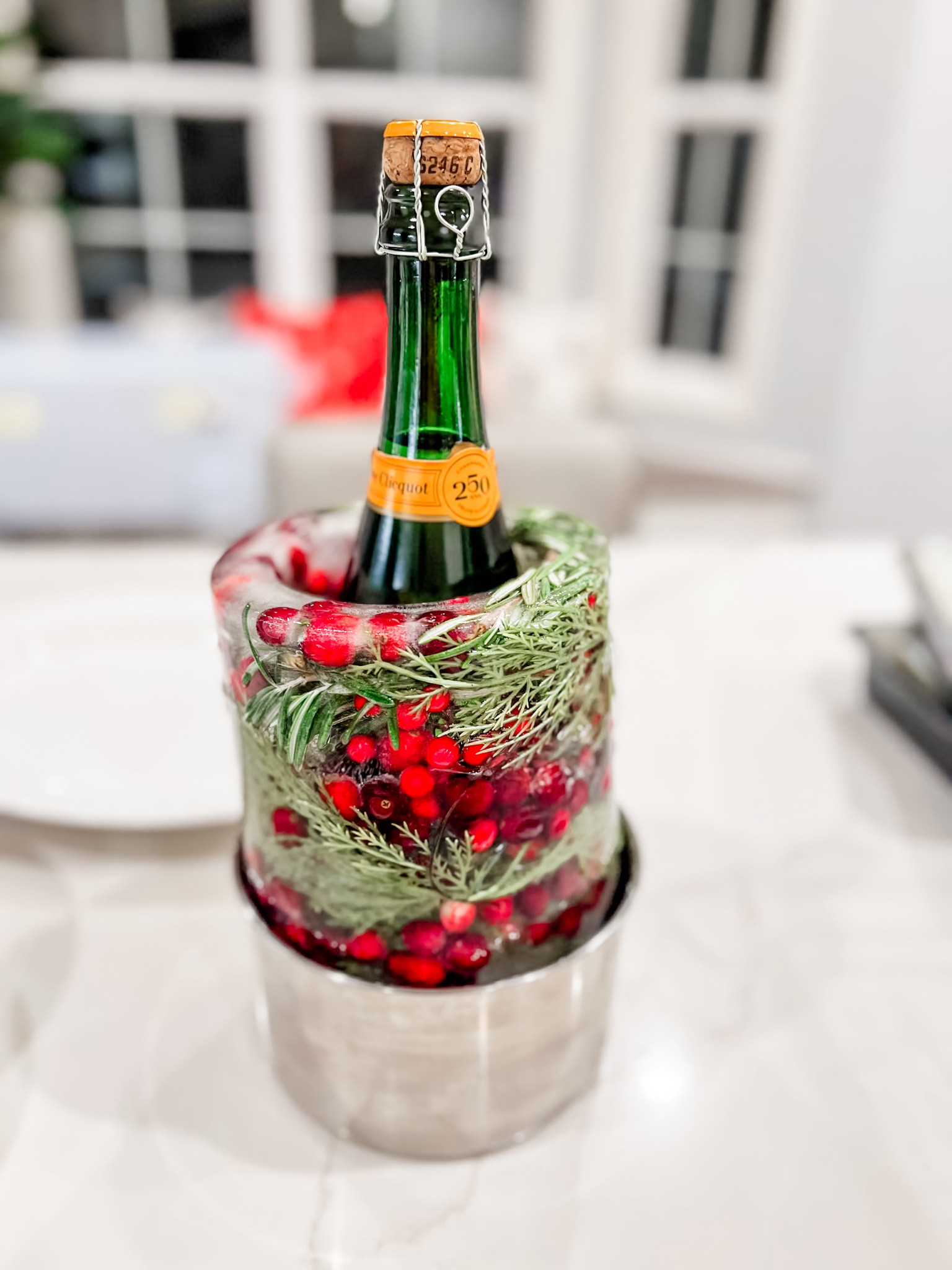 My favorite ice bucket mold! I use this for so many holidays and events. It’s so easy to use and it comes with the ice bucket to put it in after the mold is frozen. This would make a great gift for a hostess! 

Holiday decor. Holiday party. Ice mold. Hostess gift. Party decor. 

#LTKGiftGuide #LTKHoliday #LTKParties