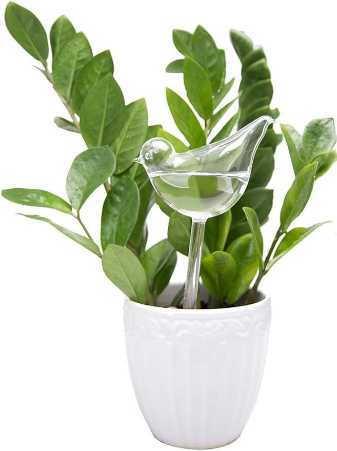 Mkono Plant Self Watering Globes Glass Water Bulbs for Planter Insert, Bird Shape Self Watering D... | Amazon (US)