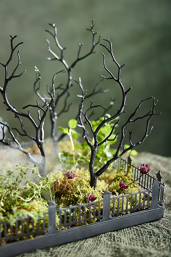 Concordville Spooky Branch Stakes, Set of 5 | Anthropologie (US)