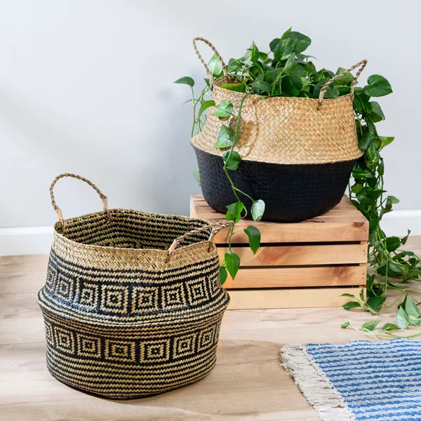 2 Piece Belly Seagrass Basket Set | Wayfair North America