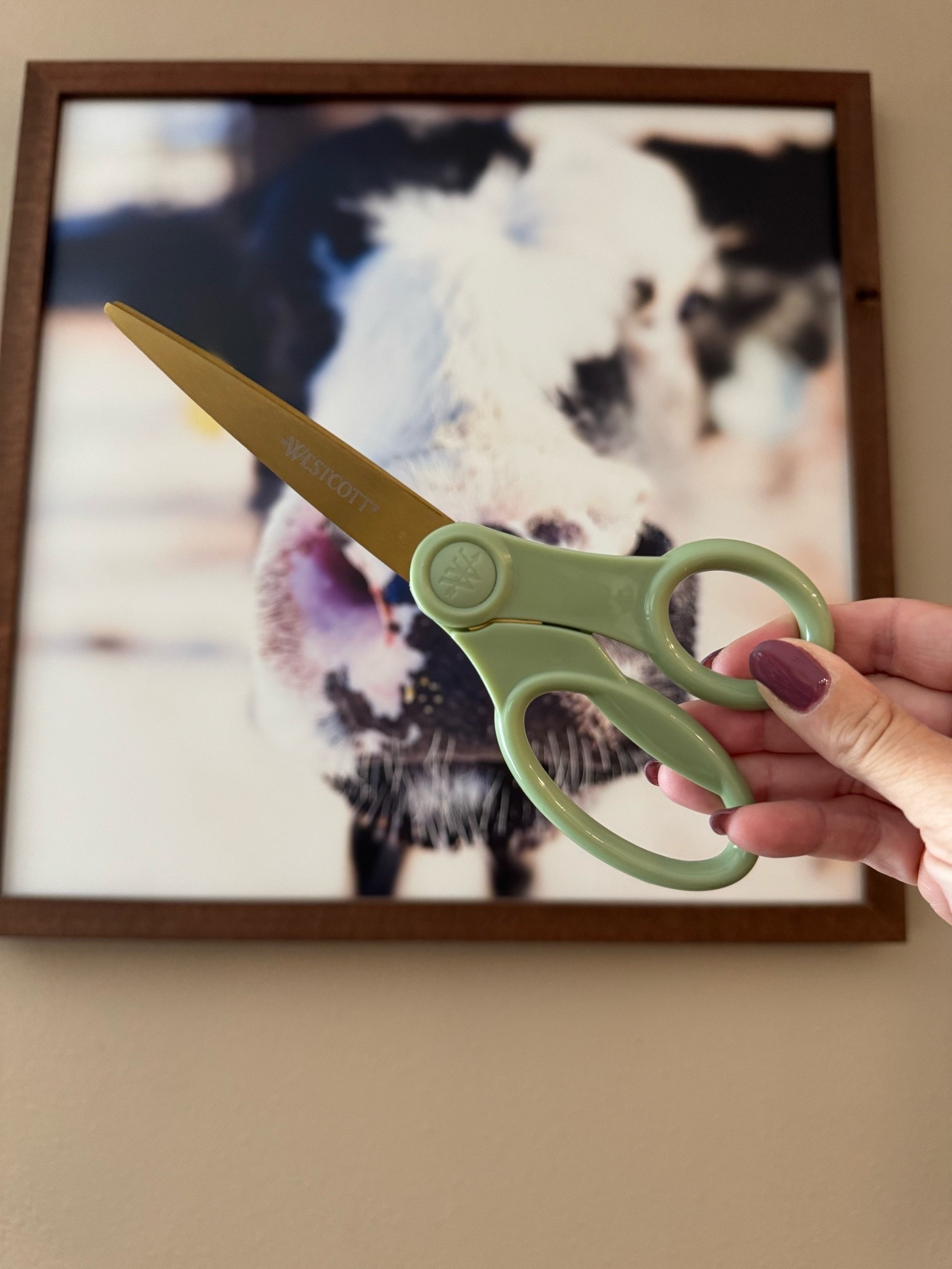 I needed a new pair of kitchen shears for every day things. If I’m being honest these were bought by the look of them. 🥰

#LTKU #LTKmomlife #LTKHome