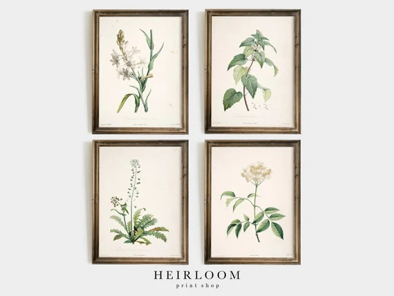 Botanical Print SET | Farmhouse Decor | French Country | Antique Botanical Prints | ART PRINTS | ... | Etsy (US)