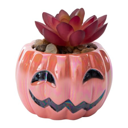 Pumpkin Faux Succulent | Five Below