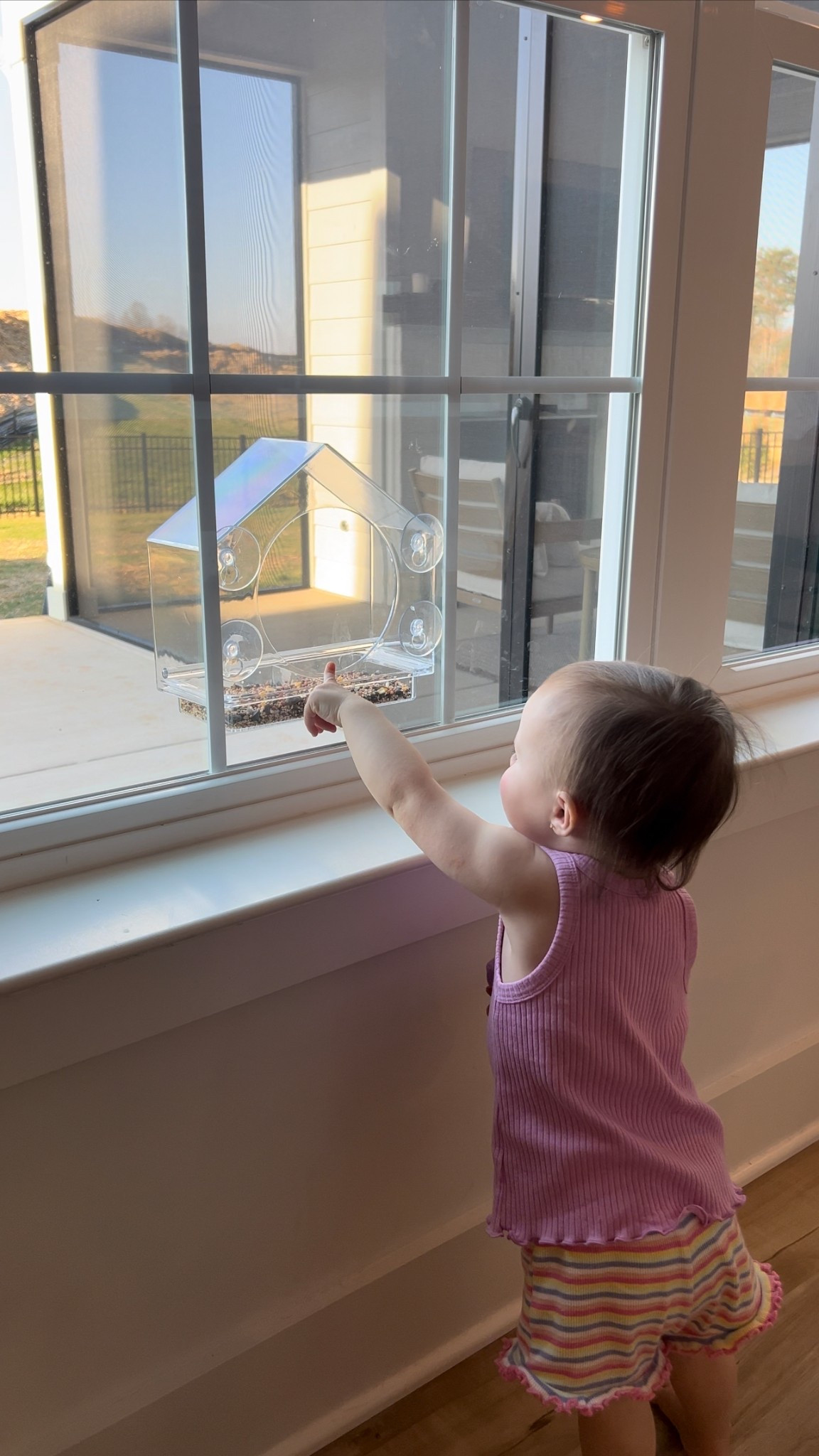 the perfect spring and summer activity for toddlers!!! 🕊️🐦🪶🐦‍⬛🪹
toddler
toddler activity
bird house
bird watching
bird seed

#LTKKids #LTKSpringSale #LTKFindsUnder50