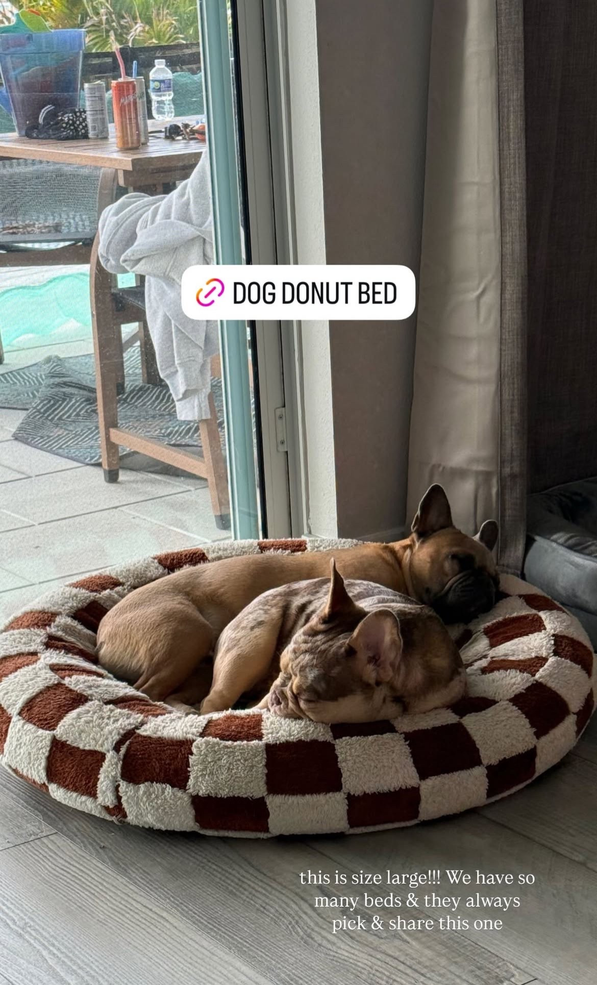 this is a size large dog donut bed! low stock but they have other cute colors and designs! 

#LTKHome #LTKFindsUnder50