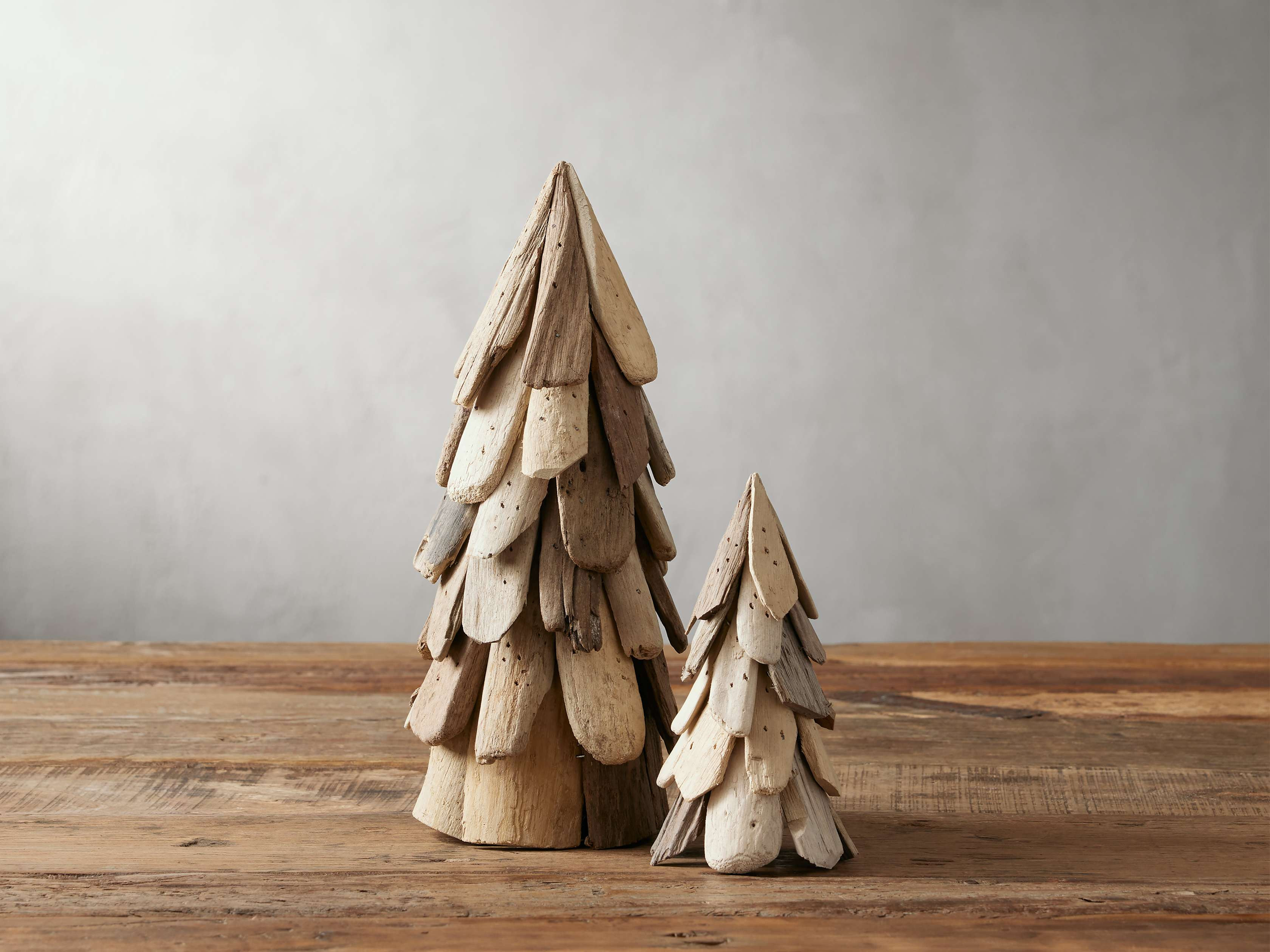 Driftwood Trees (Set of 2) | Arhaus