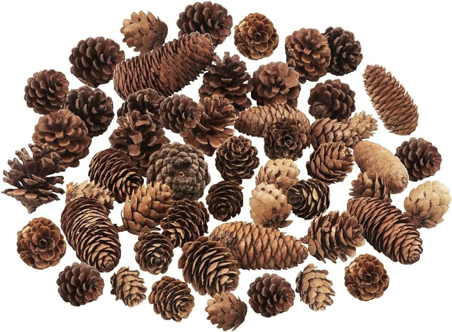 40 PCS Pine Cones Decorations, Natural Pine Cones Bulk Package - Large Medium and Mini Size Rusti... | Amazon (US)