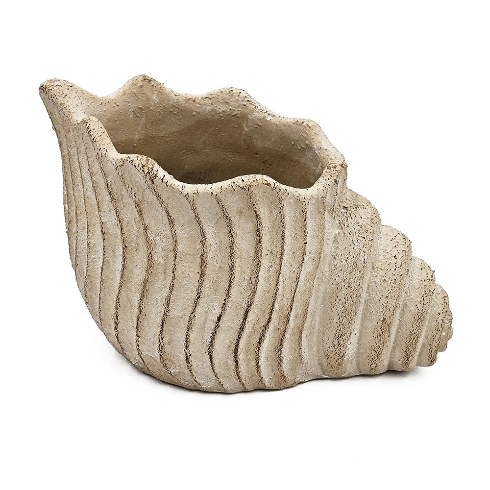 Highland Dunes Sand And Cement Nautilus Shell Planter With Textured Beige Finish | Wayfair | Wayfair North America