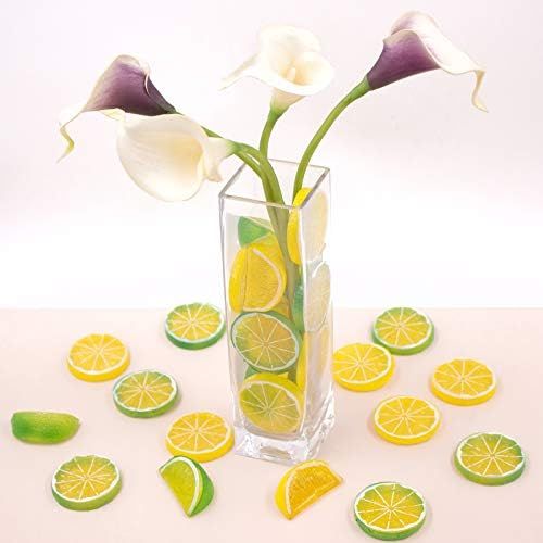 SNAIL GARDEN 30Pcs Artificial Lemon Slices Blocks, 20Pcs Simulation Lemon Slice+10Pcs Fake Lemon ... | Amazon (US)