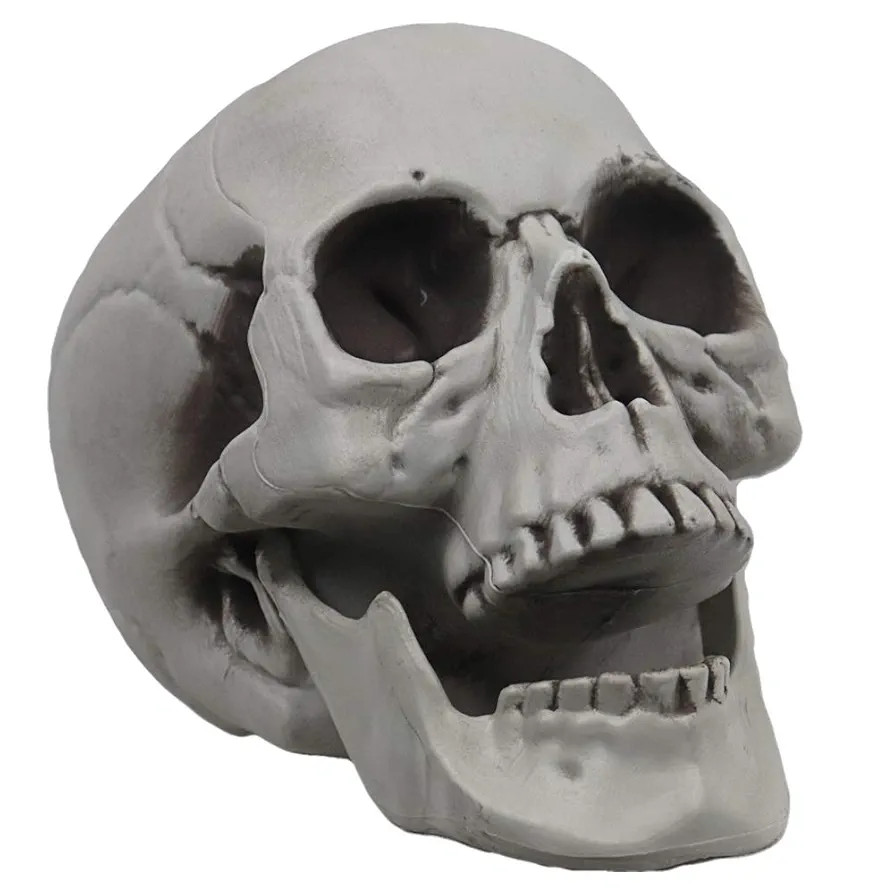 MOKRY PARTY Life Size Skeleton Skull for Halloween Decor Graveyard Outdoor White | Amazon (US)