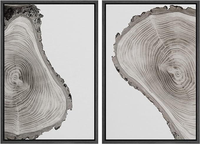 SIGNWIN Framed Canvas Print Wall Art Set Black & White Forest Wood Tree Ring Collage Nature Wilde... | Amazon (US)