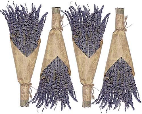 Cedar Space Lavender Dried Flowers 4 Bunches Dried Lavender Ideal Home Fragrance Products for Hom... | Amazon (US)
