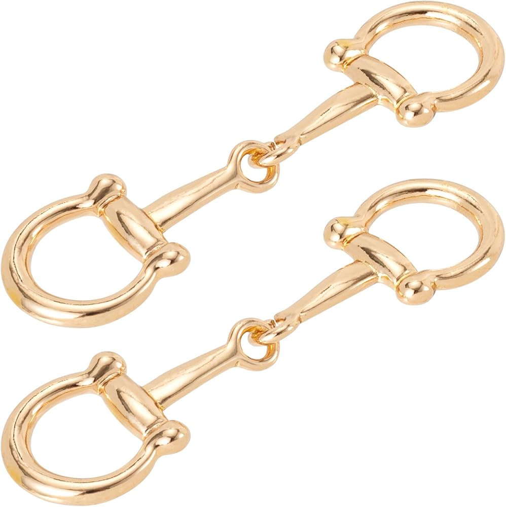 Joez Wonderful Horsebit Silk Scarf Buckle, Simple Metal Scarf Rings, Horsebit Clasp for Women | Amazon (US)