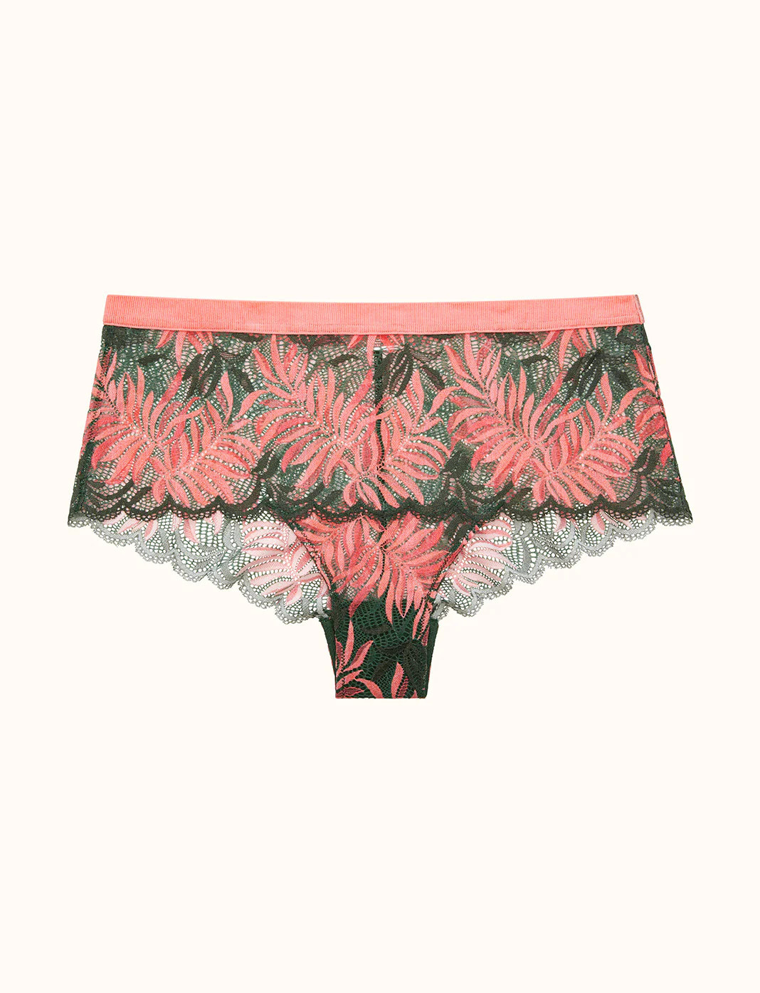 Palm Lace Cheeky | ThirdLove