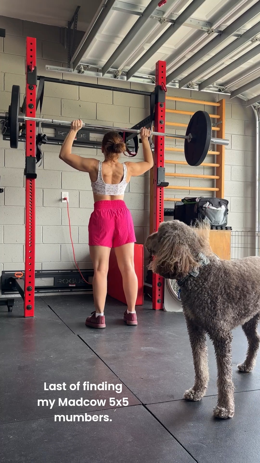 Bright pink shorts from Target. I have these shorts in five different colors now!

Starting Madcow 5x5 from Stronglifts tomorrow. Last of looking for 1 rep max estimates for the spreadsheet... 