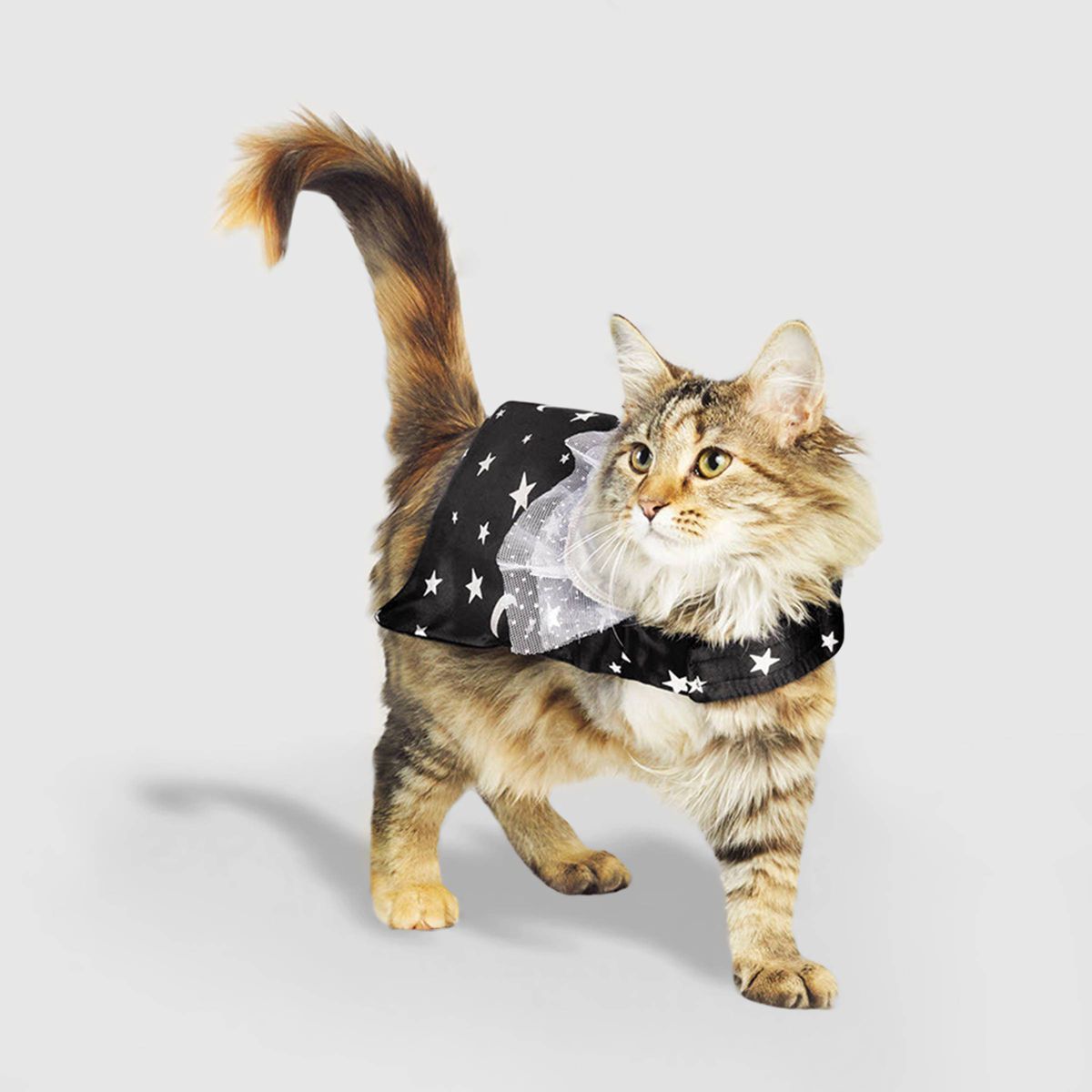 Cape Cat Costume - Hyde & EEK! Boutique™ | Target