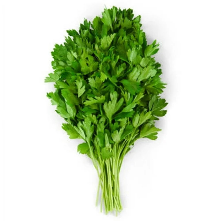 Fresh Italian Parsley Bunch, Each - Walmart.com | Walmart (US)