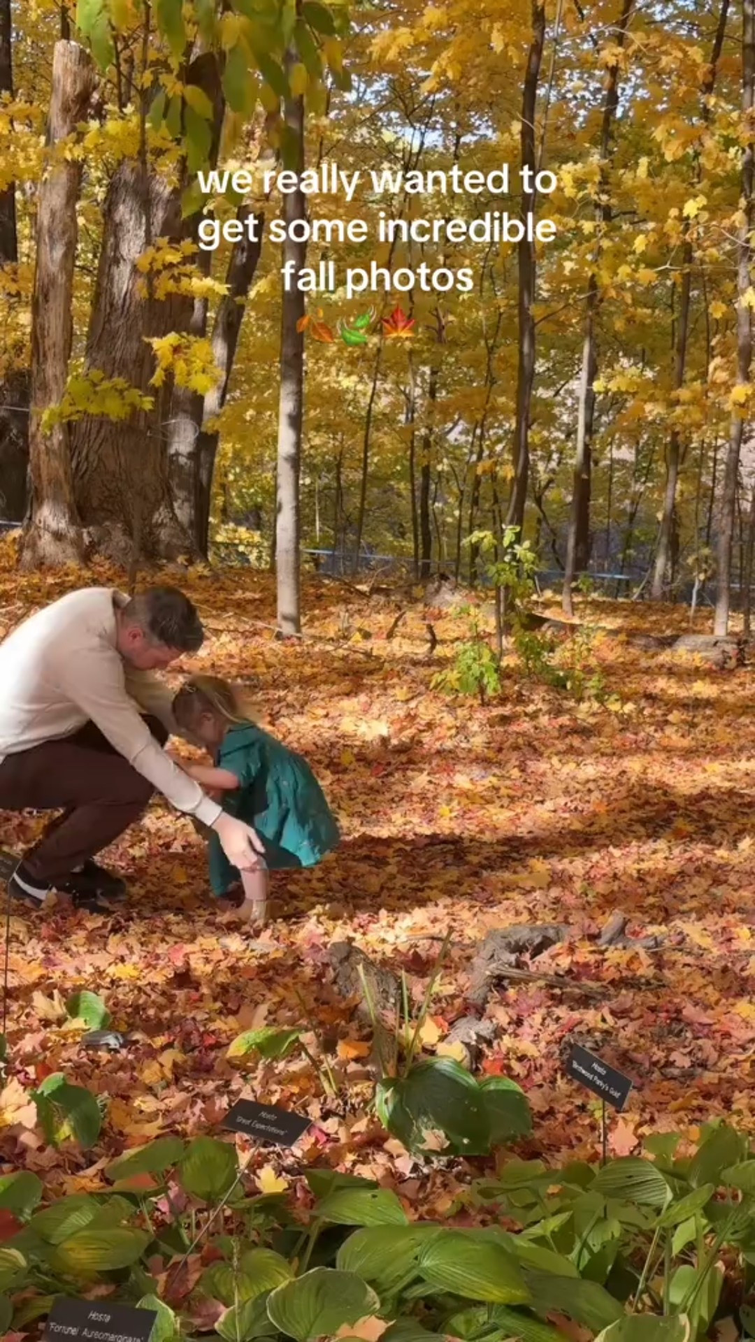 perfect fall family photo shoot outfits inspo on a budget! Target tor the win always! #target #targetfinds -#fallphotoshoot #photoshoot #familyphotoshoot #fallfamilyphotos #photoshootinspo #falloutfits 

#LTKBaby #LTKFamily #LTKKids