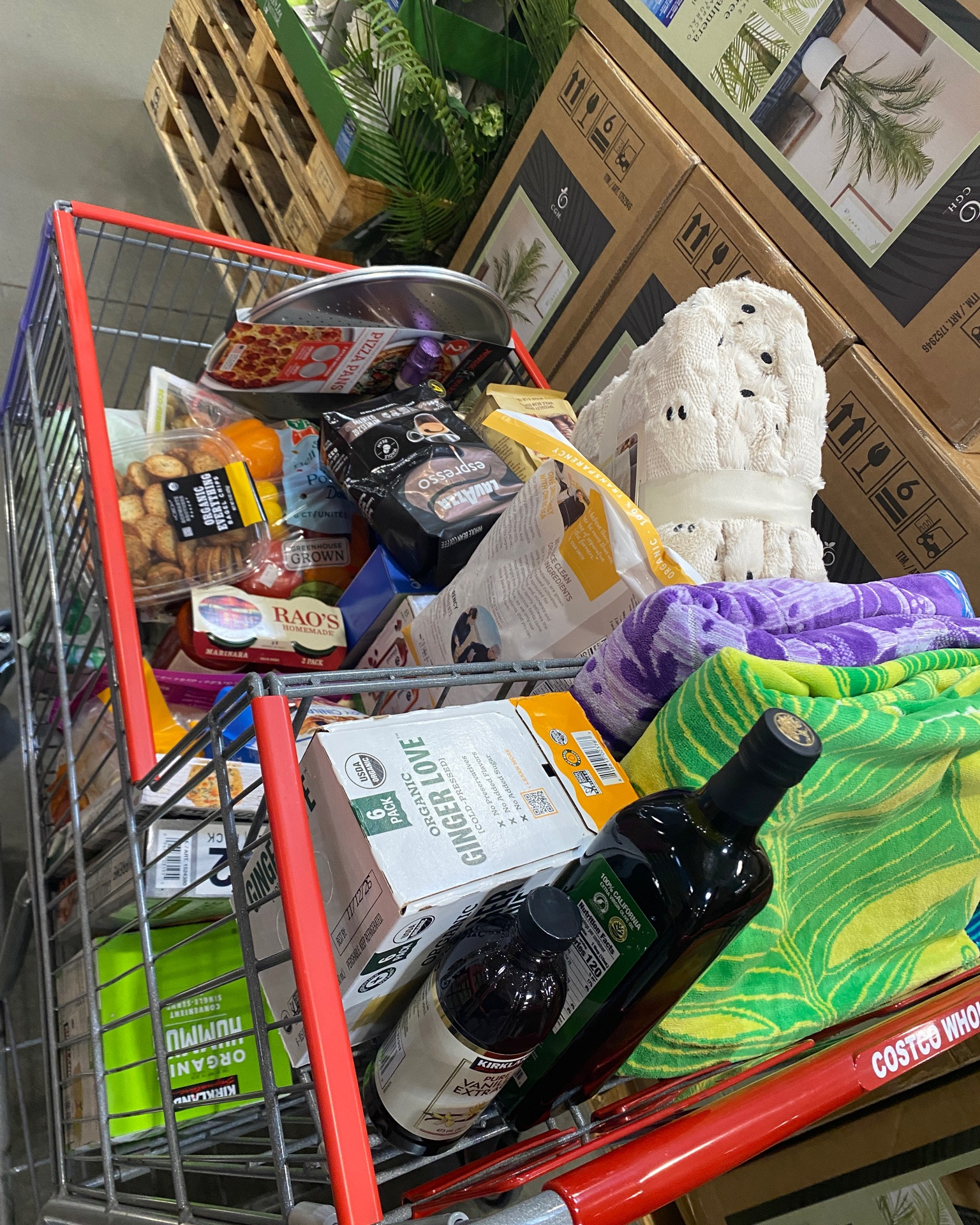 Shopping Haul! Great seasonal finds & deals! A mix of summer & preseason Halloween finds, along with my groceries.

#LTKdayinmylife #LTKSeasonal #LTKSaleAlert