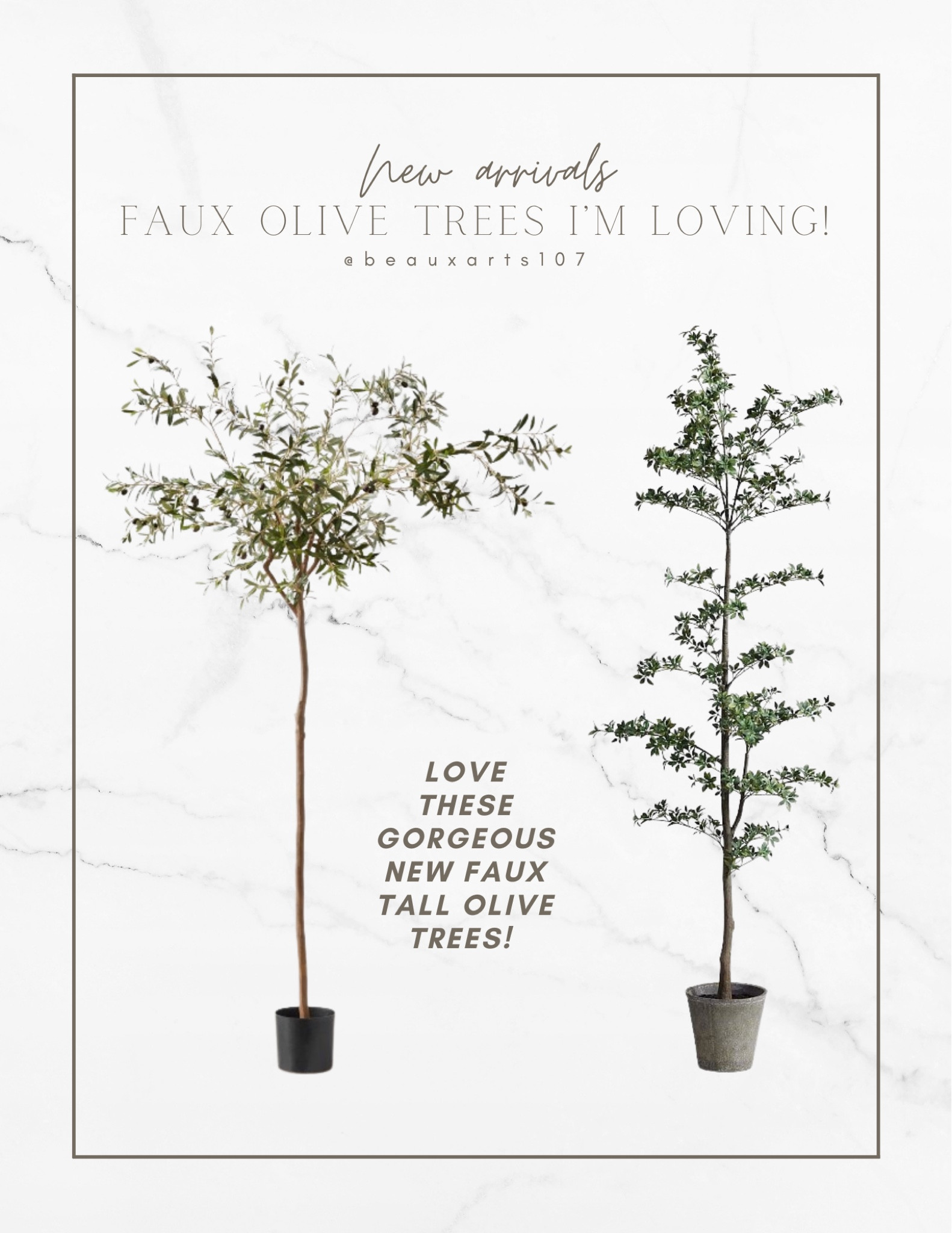 New tall olive tree (love the shape!) and first ever faux black olive tree!

#LTKsalealert #LTKhome #LTKFind