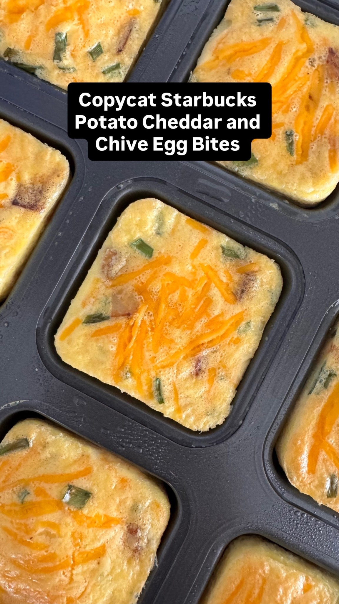 Copycat Starbucks Potato Cheddar and Chive Egg Bites, recipe coming soon! In the meantime you’ll need this brownie pan if you want to make them! 

#LTKfoodie #LTKHome #LTKmorningroutine