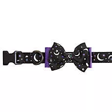 Glow in the clearance dark dog collar petsmart