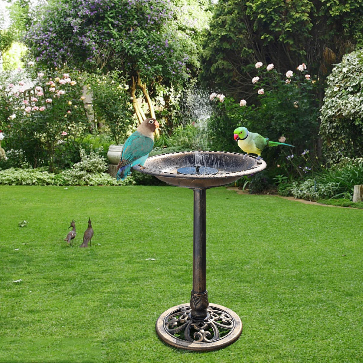 Armance Resin Single Tier Birdbath | Wayfair North America