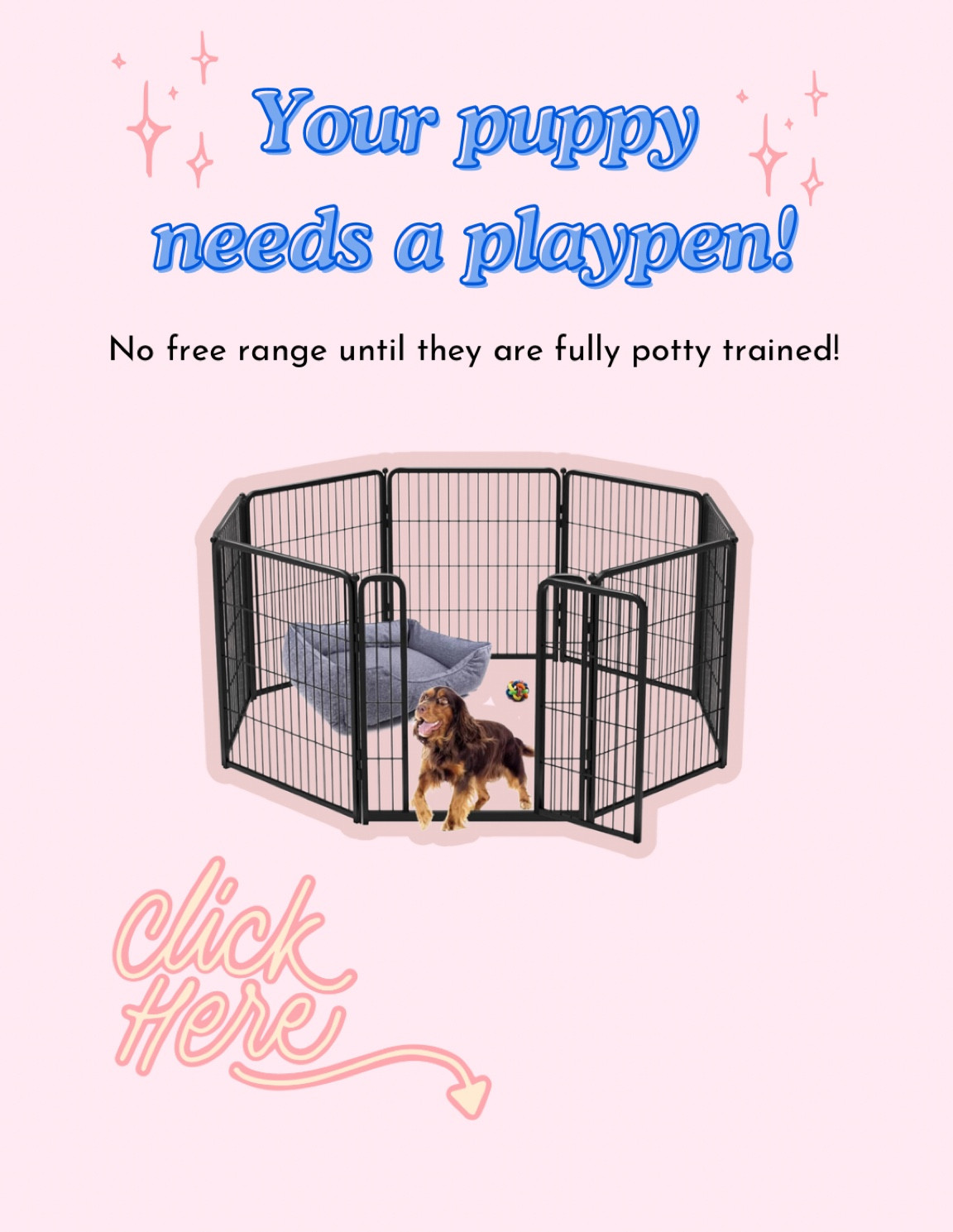 Puppies shouldn't have full access to the house until they are fully potty trained!