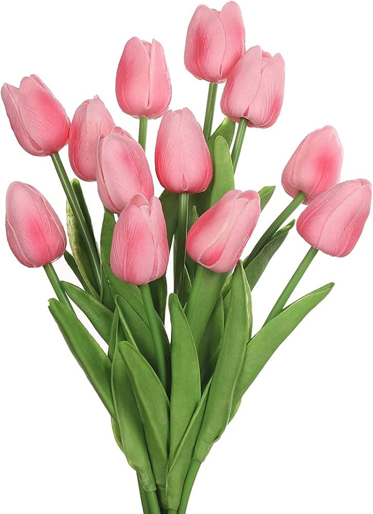 huaao 12pcs Tulipes artificielles en Latex Bouquet Fleurs Artificielles Toucher réel Bouquets à... | Amazon (FR)