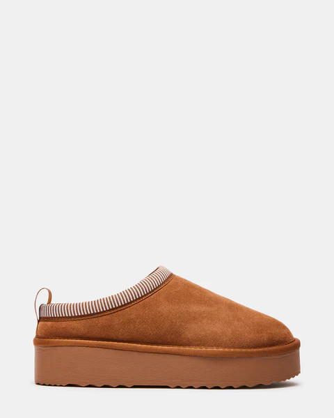 CODIE CHESTNUT SUEDE | Steve Madden (US)