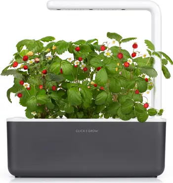 Smart Garden 3 Self Watering Indoor Garden | Nordstrom