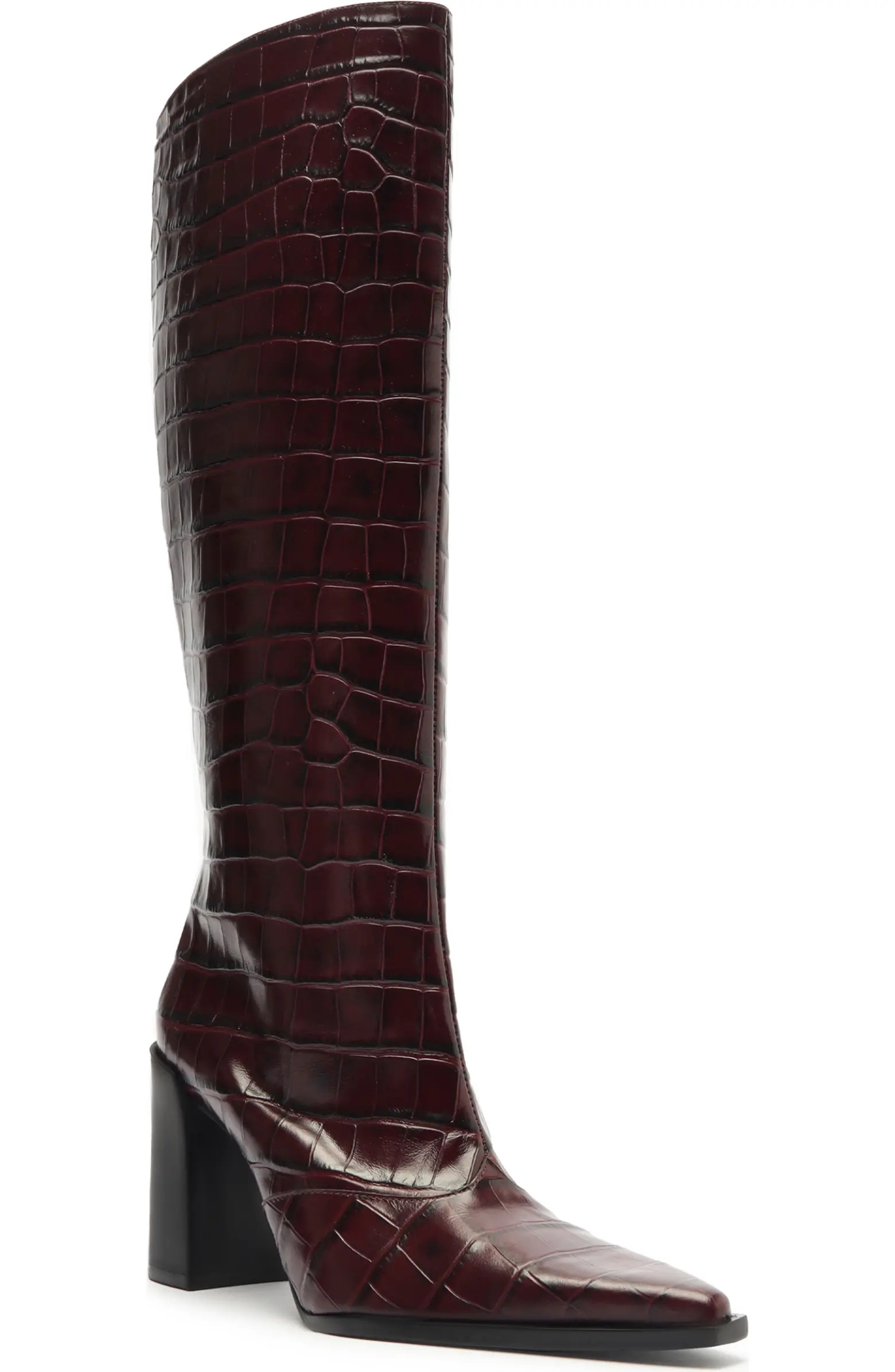 Raffaela Up Pointed Toe Knee High Boot (Women) | Nordstrom