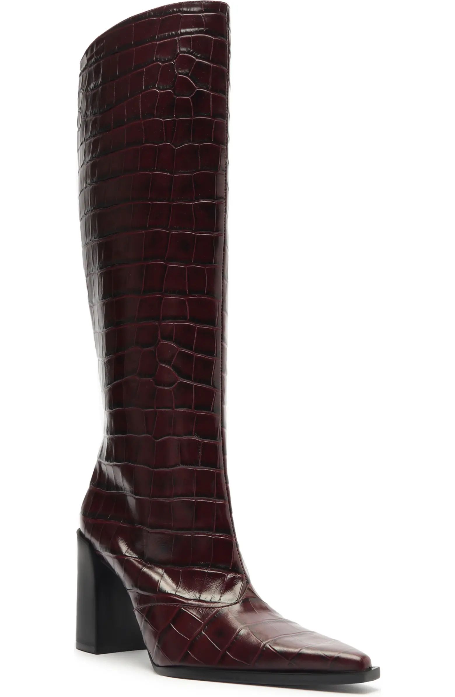 Raffaela Up Pointed Toe Knee High Boot (Women) | Nordstrom