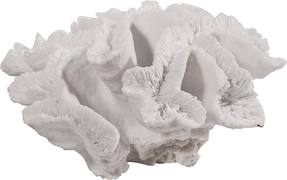 A&B Home Coral Decor Framed Art, 9 X 8.5 X 3.7-Inch | Amazon (US)