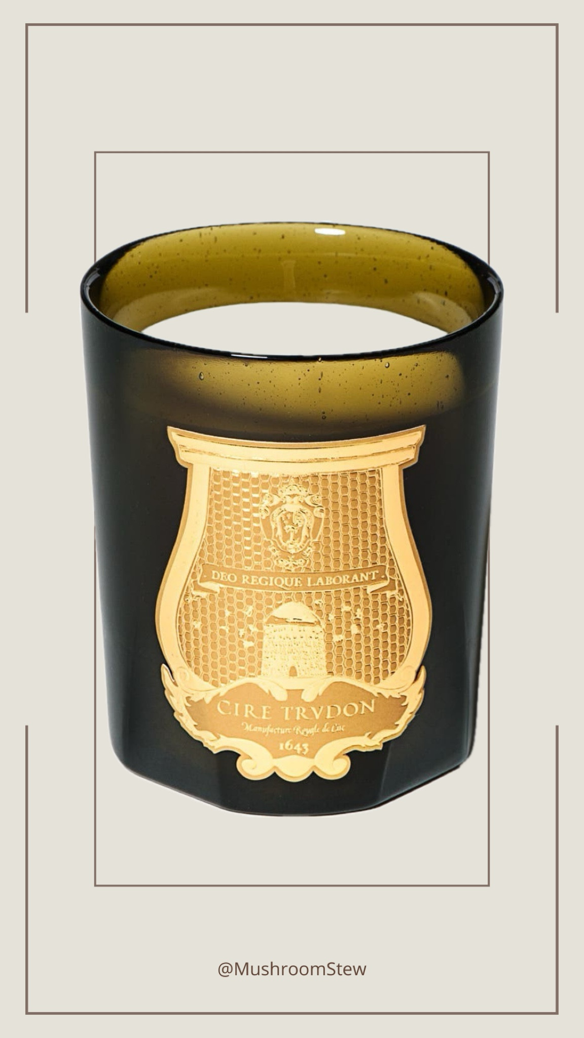 Just discovered TJ Maxx carries Cire Trudon candles for $25 off 🤍🤯

#LTKfindsunder100 #LTKSeasonal #LTKhome