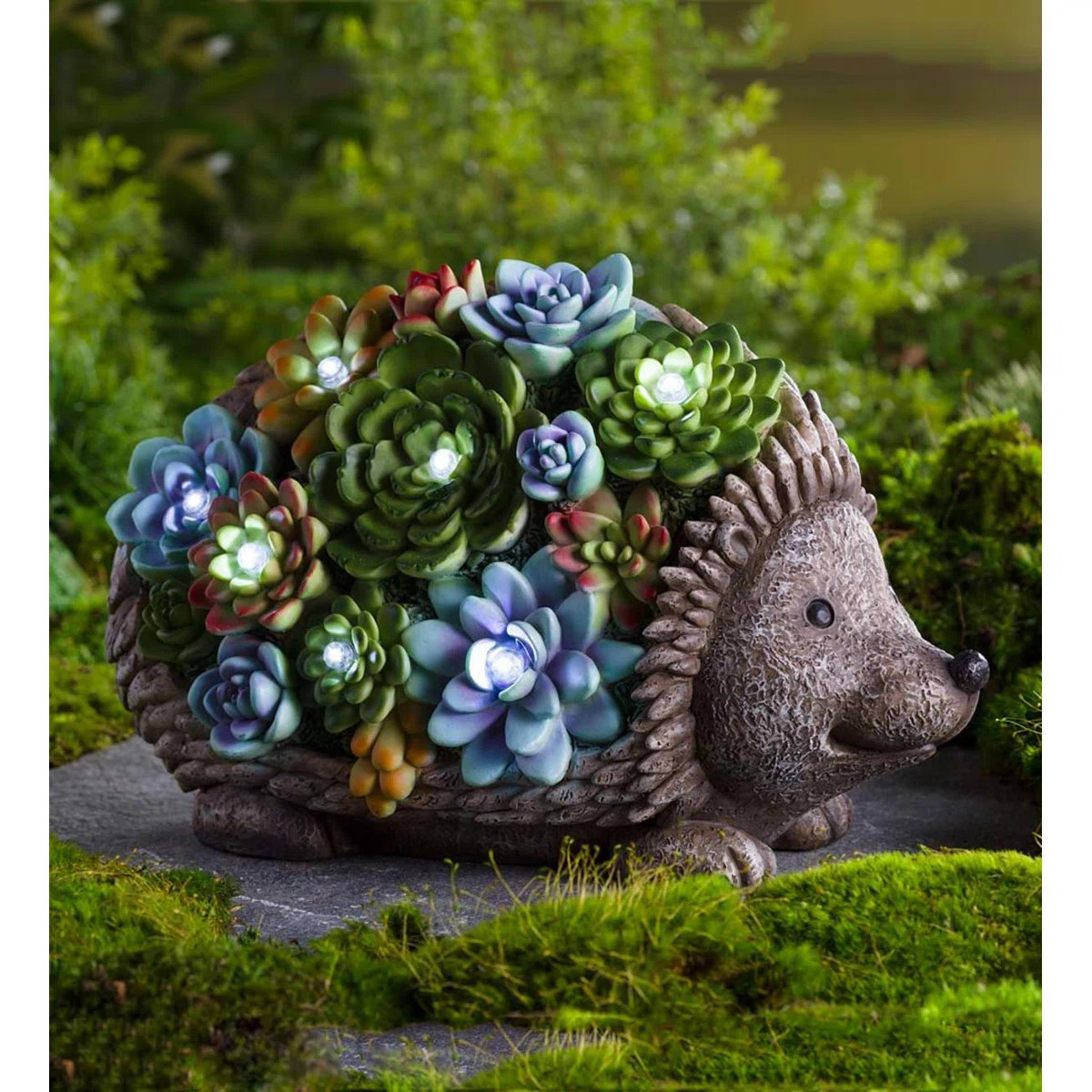 Dekou Succulent Hedgehog Solar Garden Statue | Wayfair North America
