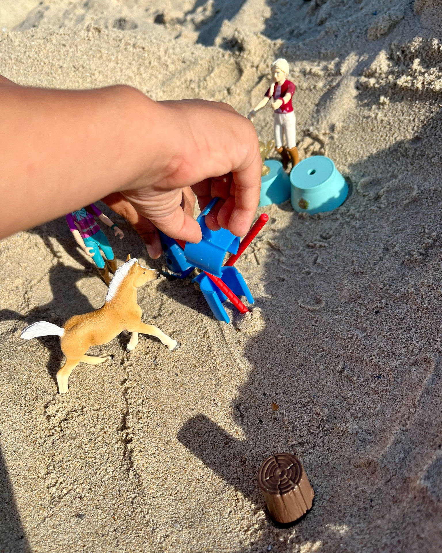 Indoor Toys at the Beach

These are the toys my boys have been loving at the beach lately. We simply pack a few schleich horse club favorites from home, and they play for hours—no fancy beach toys needed.

#schleich #horseclub #horsetoys

#LTKcanada #LTKsummer #LTKkids