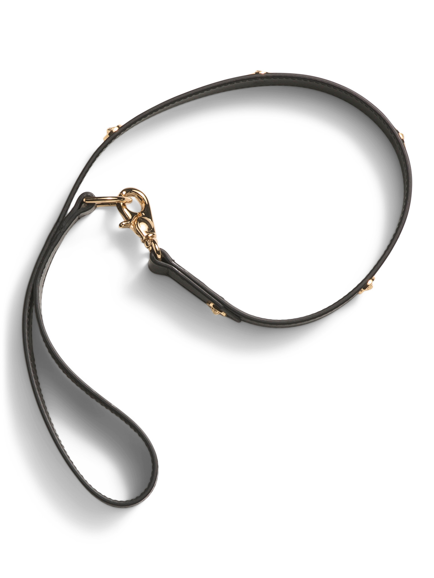 Made In Italy Leather Icon Pet Leash | TJ Maxx