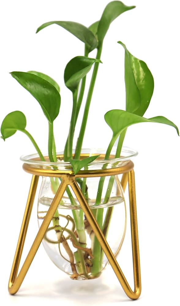 Plant Terrarium with Metal Stand, Desktop Air Planter Bulb Glass Vase for Indoor Live Hydroponics... | Amazon (US)