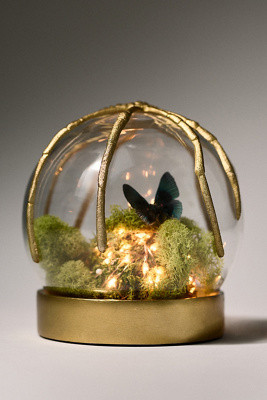 Spider Cloche Terrarium | Anthropologie (US)