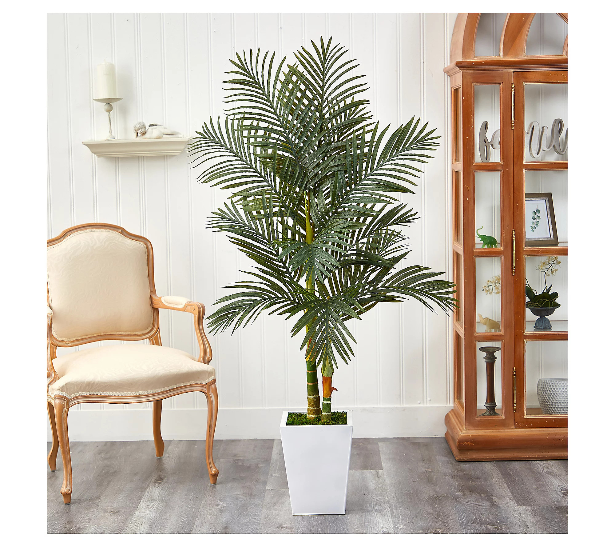 Nearly Natural 5.5' Golden Cane Artificial Palm Tree | QVC
