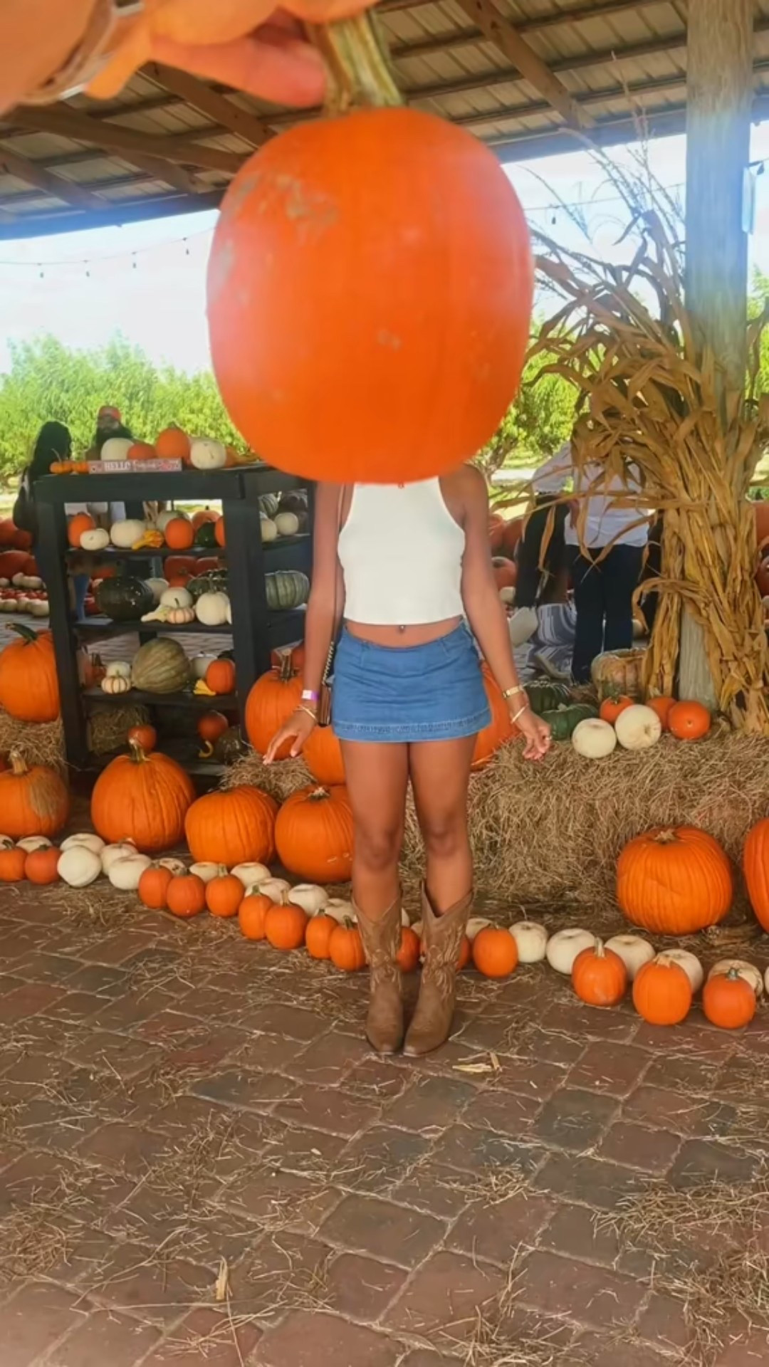 pumpkin patch outfit inspo 🎃🍂🍁 #falloutfit #fallaesthetic 

#LTKSeasonal #LTKFindsUnder100