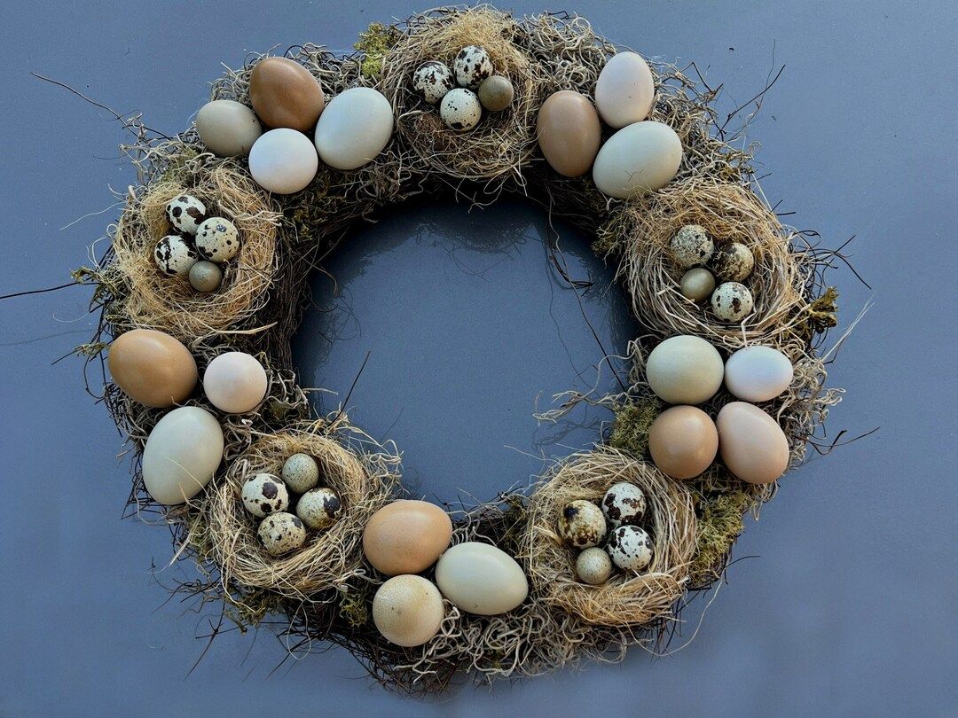 Round 16 Inch REAL Egg Sampler Wreath - Etsy | Etsy (US)