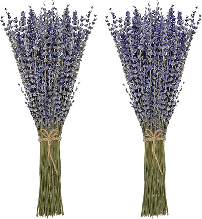 Timoo Dried Lavender Bundles 100% Natural Dried Lavender Flowers for Home Decoration, Photo Props... | Amazon (US)