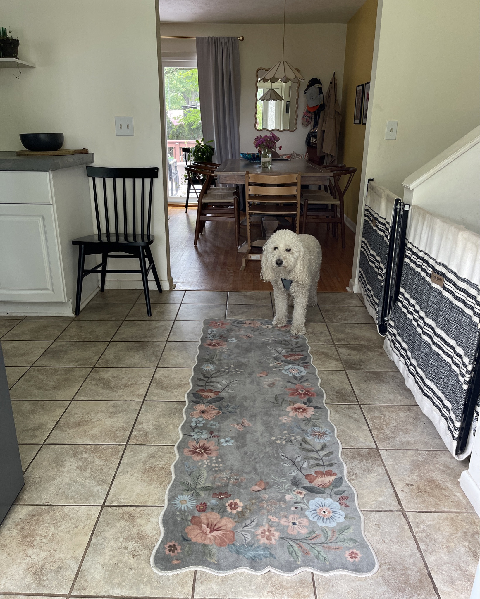 I love how our new entry way runner ties in with the kitchen. The scallop edges are my favorite! I love the garden print. It’s so soft & also machine washable!!



#LTKStyleTip #LTKHome #LTKFindsUnder100